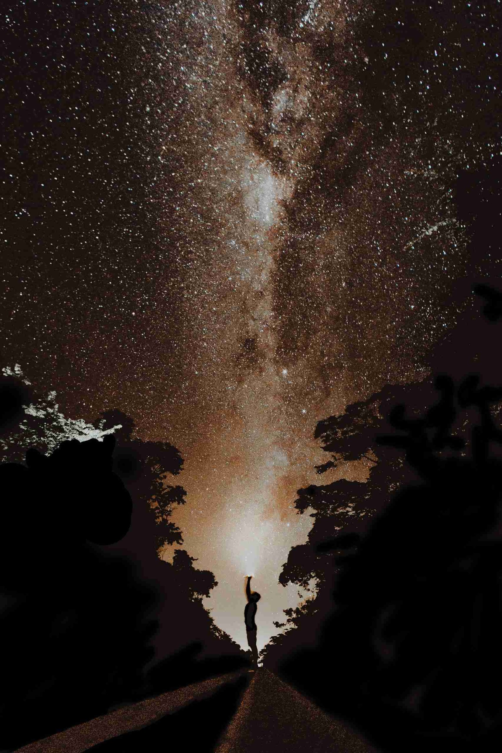 Persona divisando las estrellas